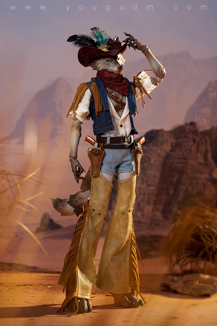 dream valley cowboy robin wolf