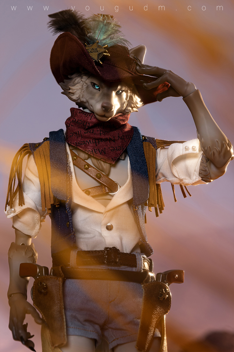 dream valley cowboy robin wolf