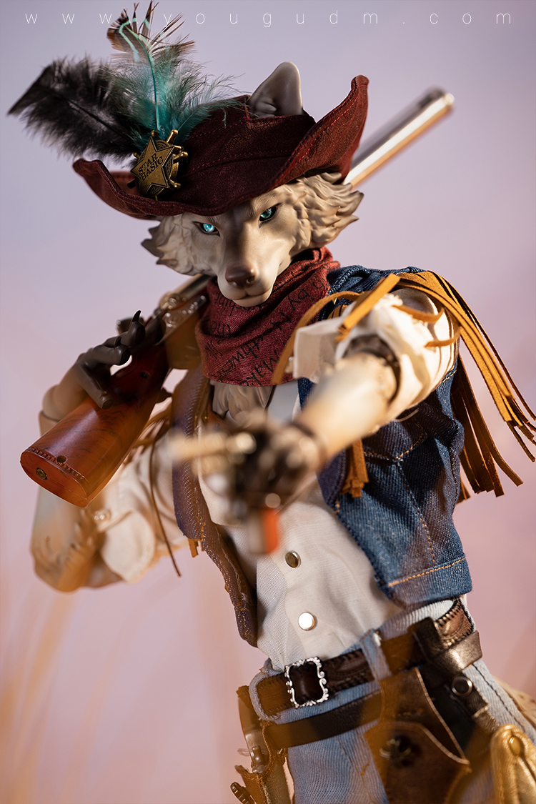 dream valley cowboy robin wolf