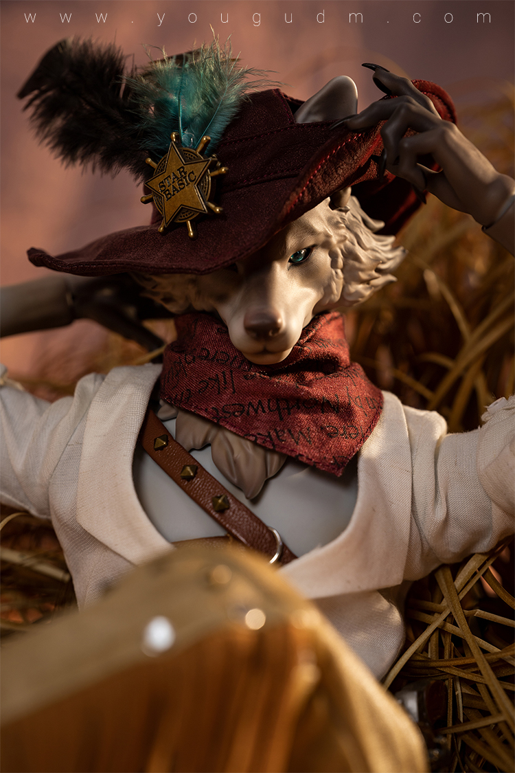 dream valley cowboy robin wolf