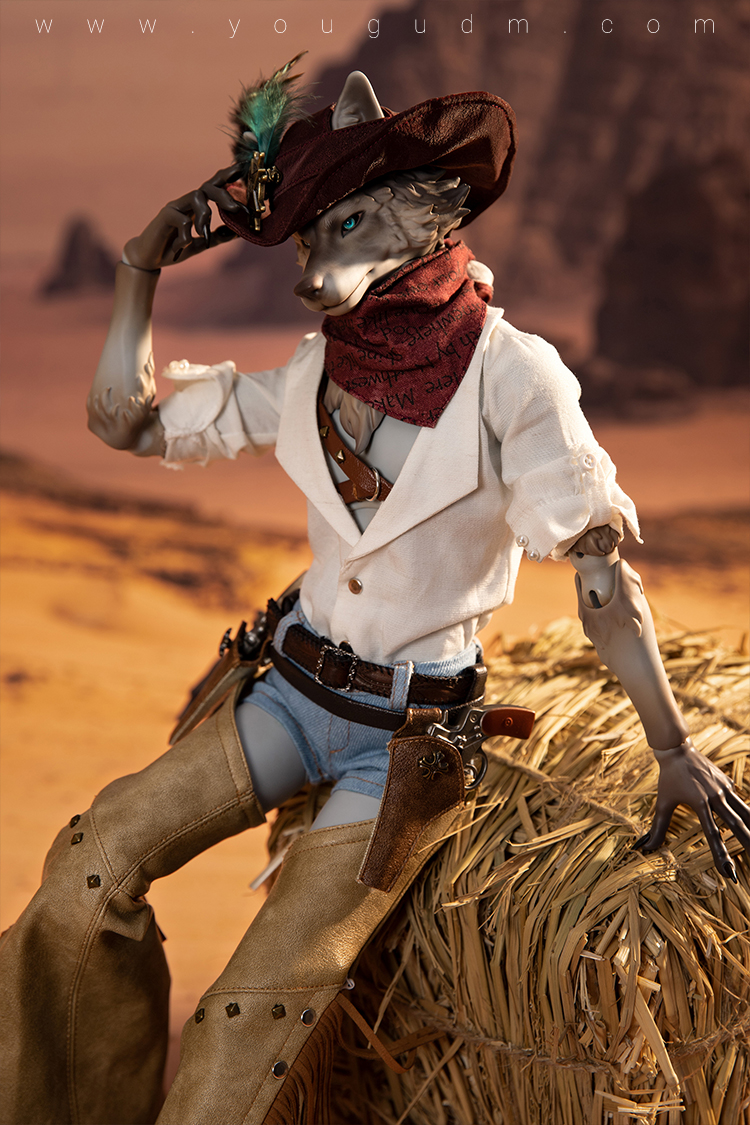 dream valley cowboy robin wolf
