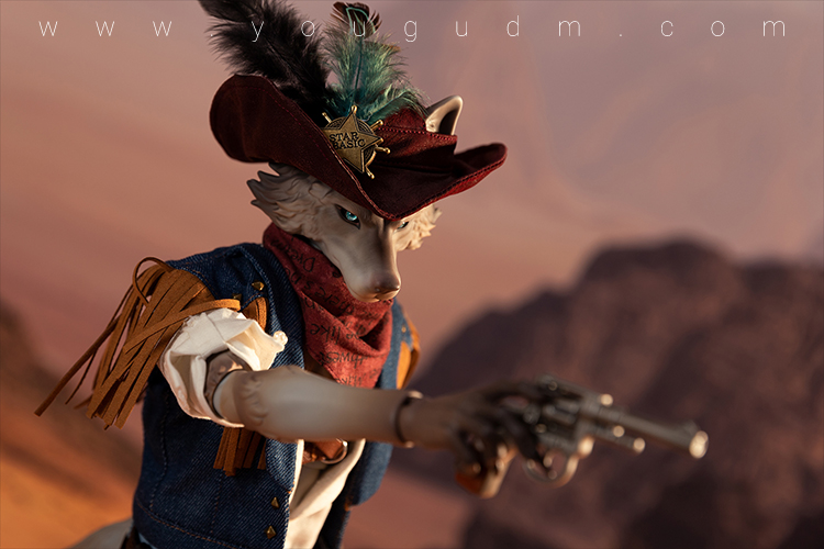 dream valley cowboy robin wolf