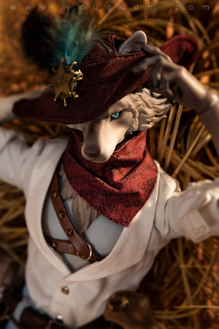 dream valley cowboy robin wolf