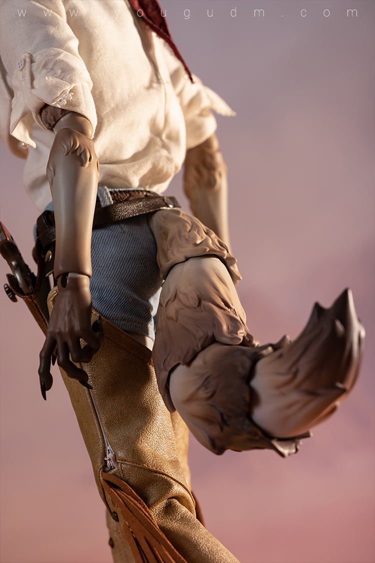 dream valley cowboy robin wolf