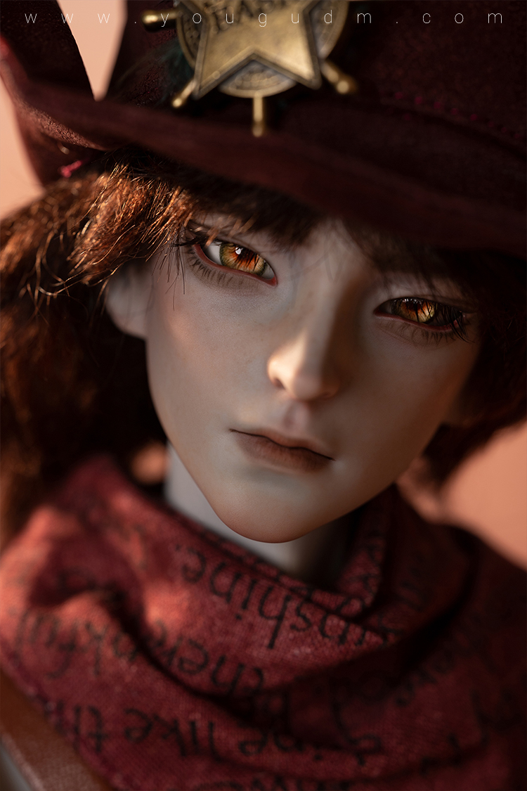 dream valley cowboy robin wolf