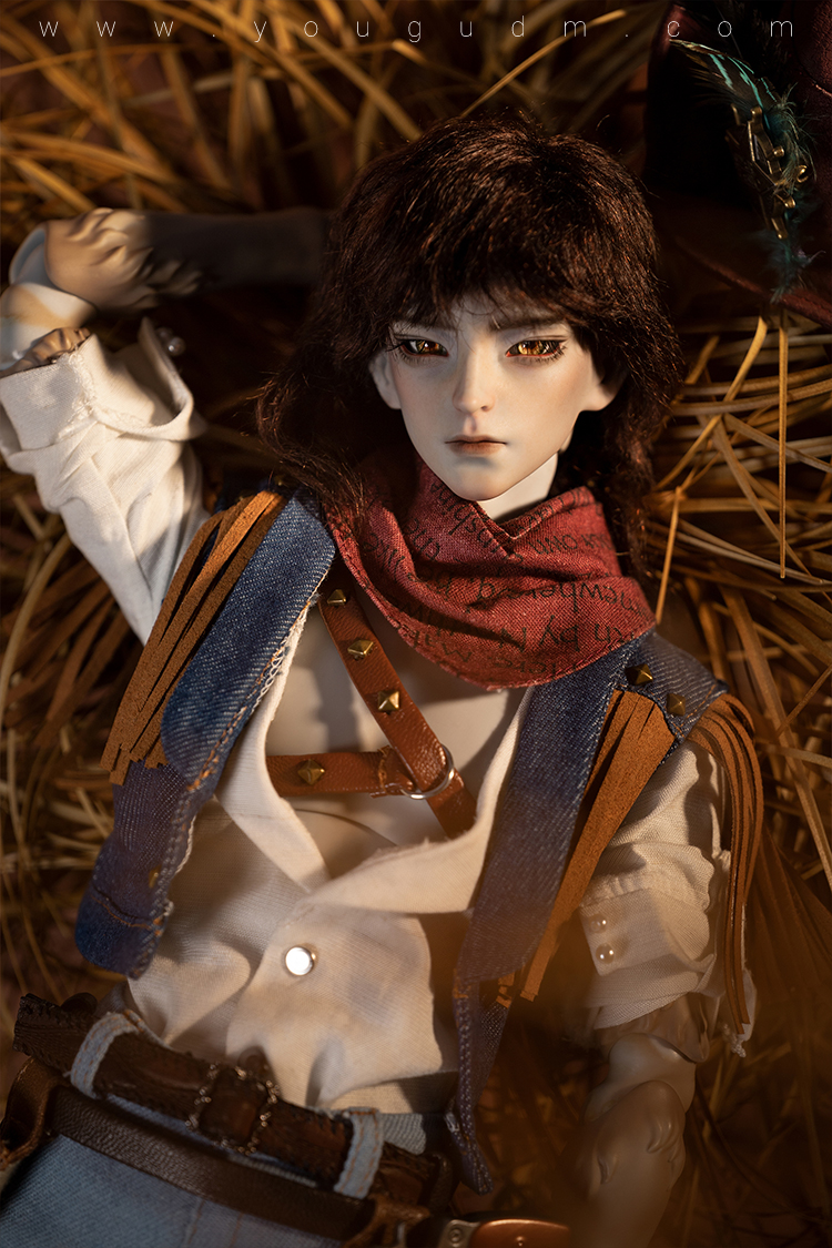 dream valley cowboy robin wolf
