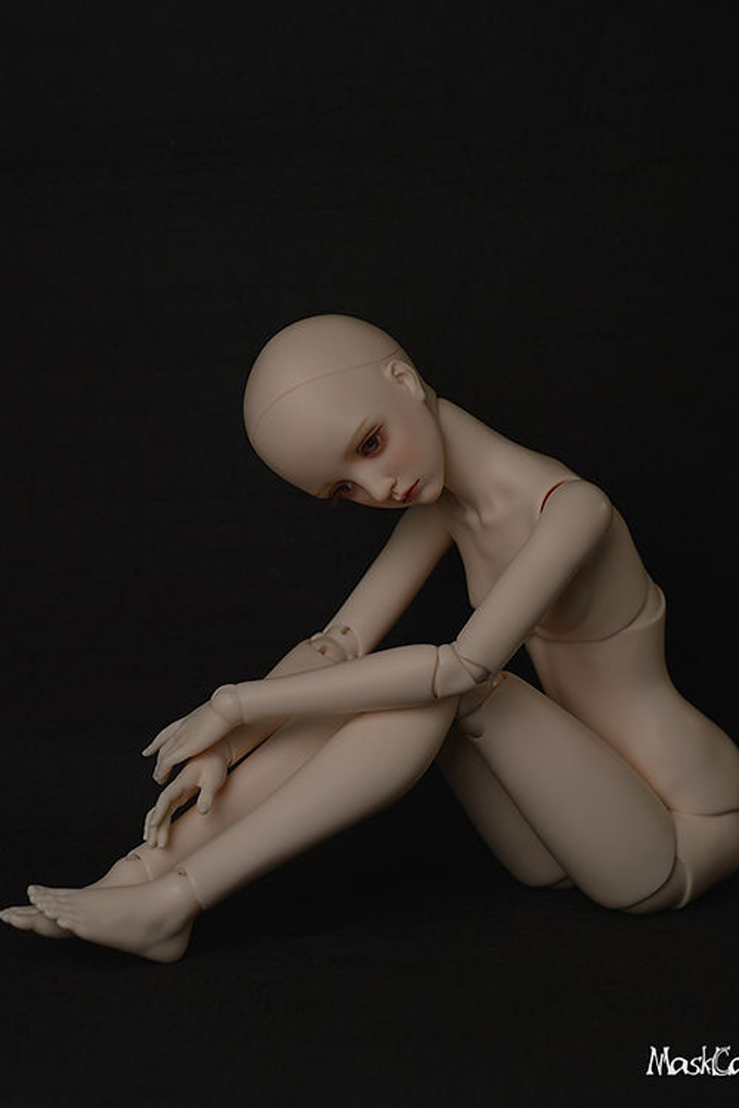 maskcat sd 58cm 58cm body