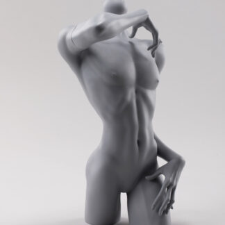dollzone chest model