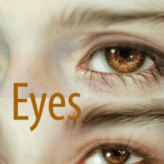 Everything Eyes