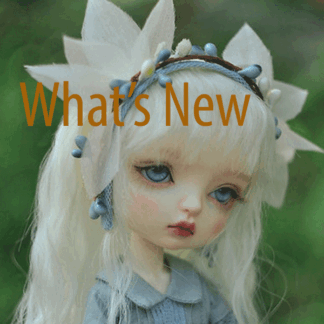 What's NEW!