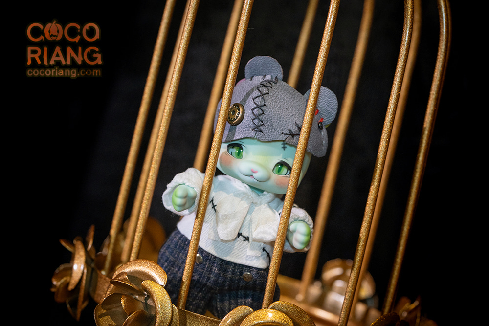 cocoriang pokenstein