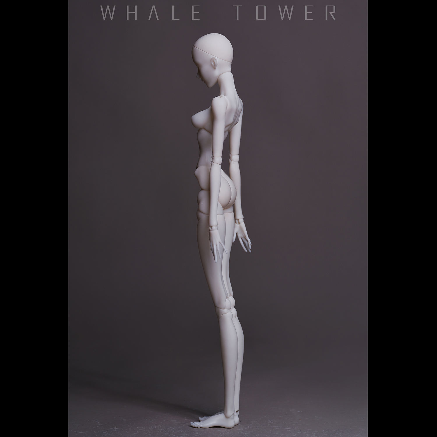 whale tower mina human