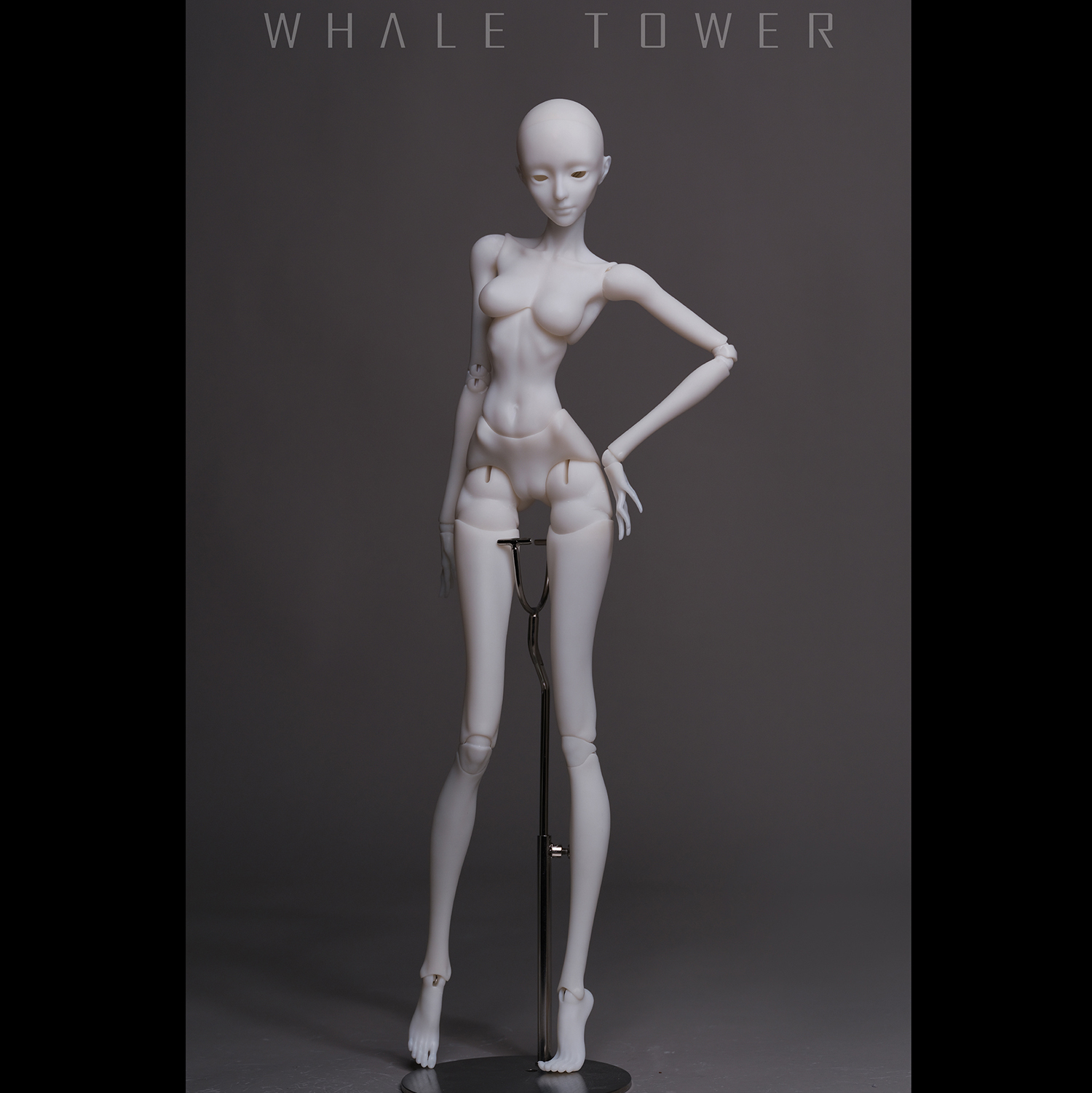 whale tower mina human