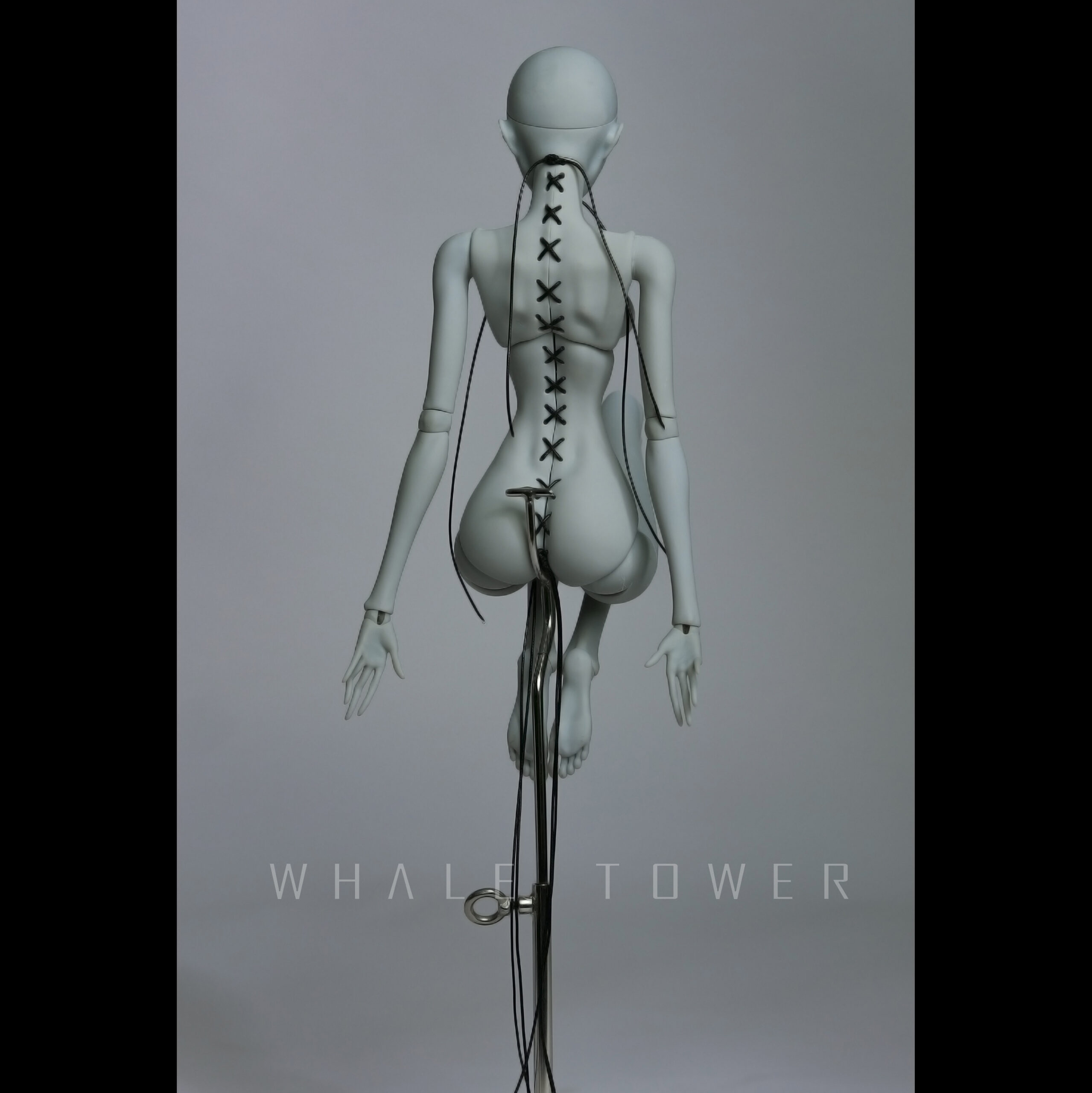 whale tower mina human