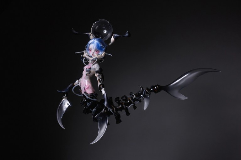 coral reef hammerhead shark