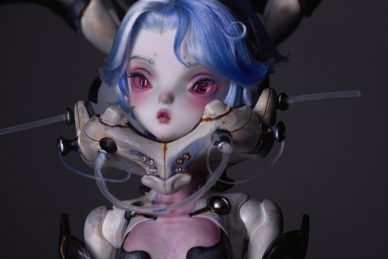 coral reef hammerhead shark