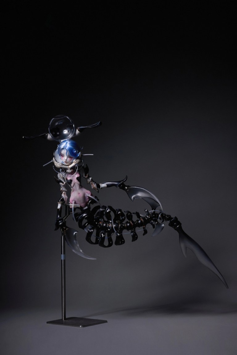 coral reef hammerhead shark