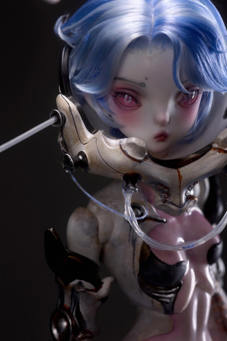 coral reef hammerhead shark