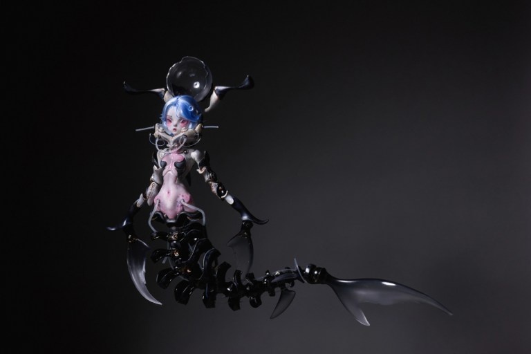 coral reef hammerhead shark