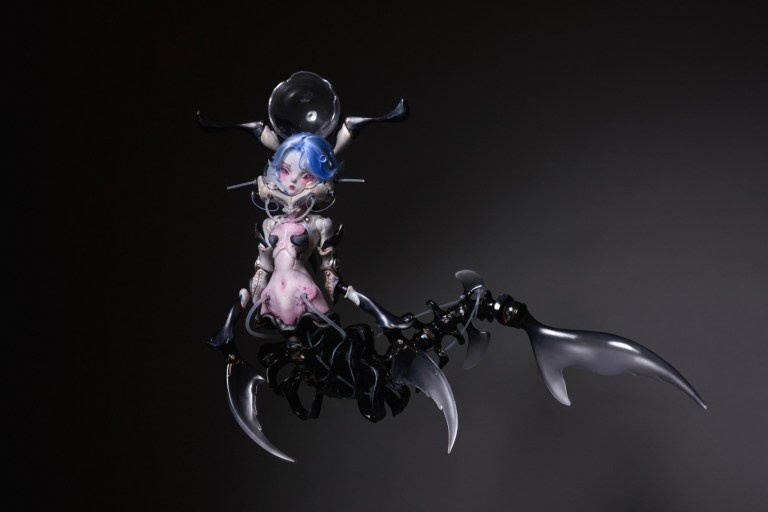 coral reef hammerhead shark