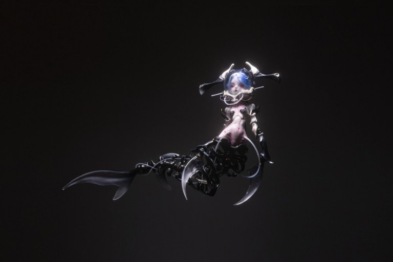 coral reef hammerhead shark