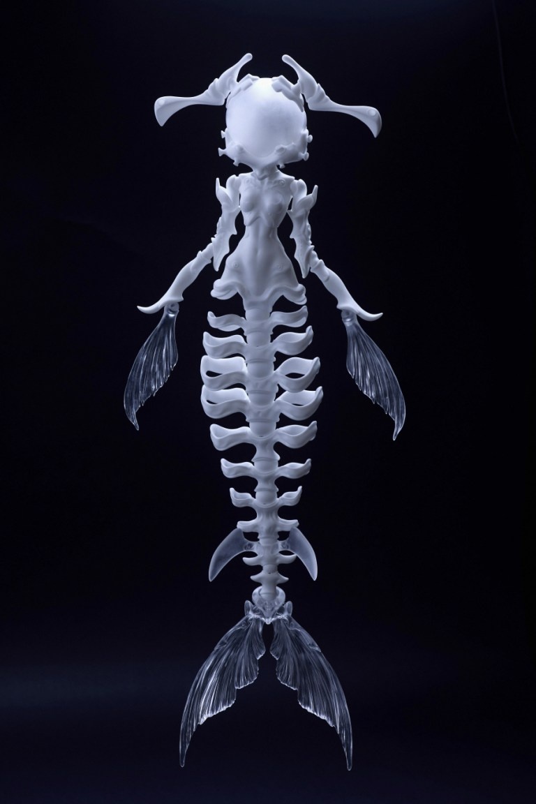 coral reef hammerhead shark