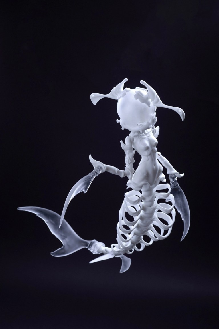 coral reef hammerhead shark