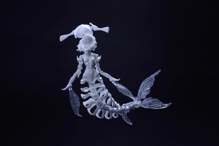 coral reef hammerhead shark