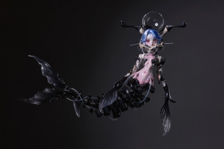 coral reef hammerhead shark