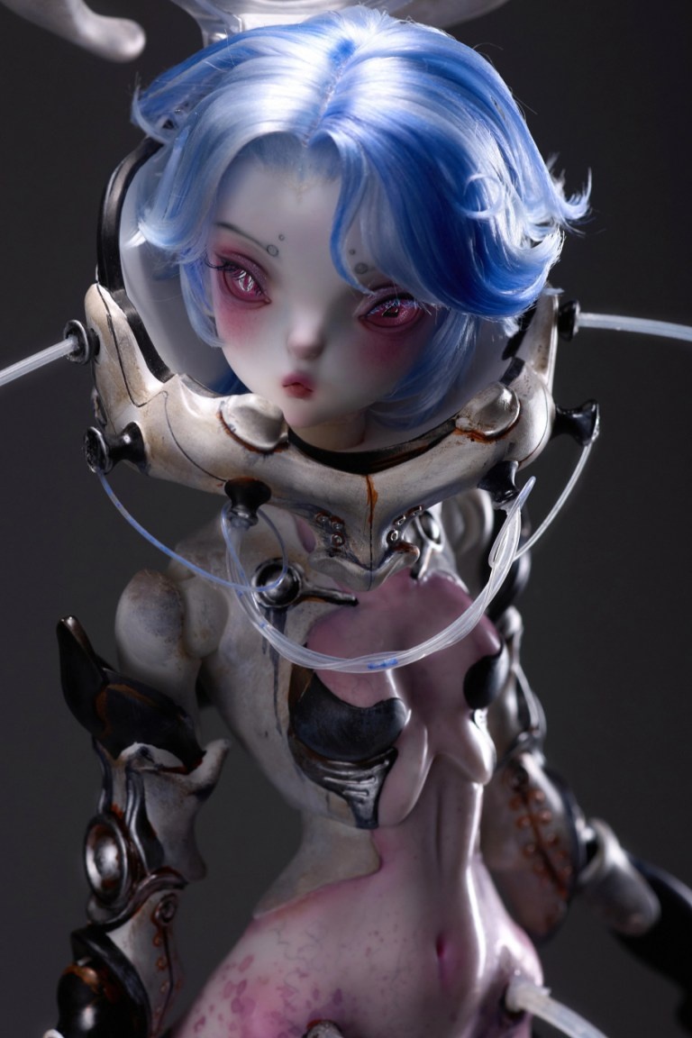 coral reef hammerhead shark