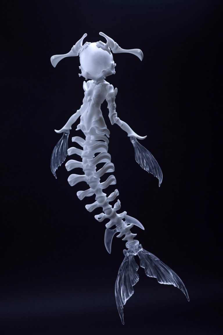 coral reef hammerhead shark