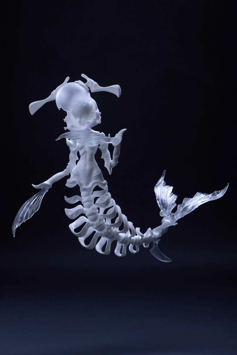 coral reef hammerhead shark