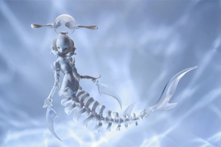 coral reef hammerhead shark