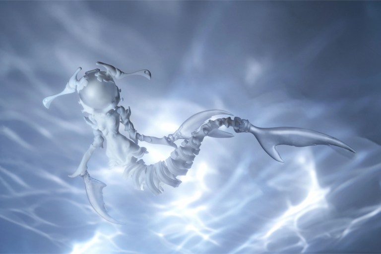 coral reef hammerhead shark