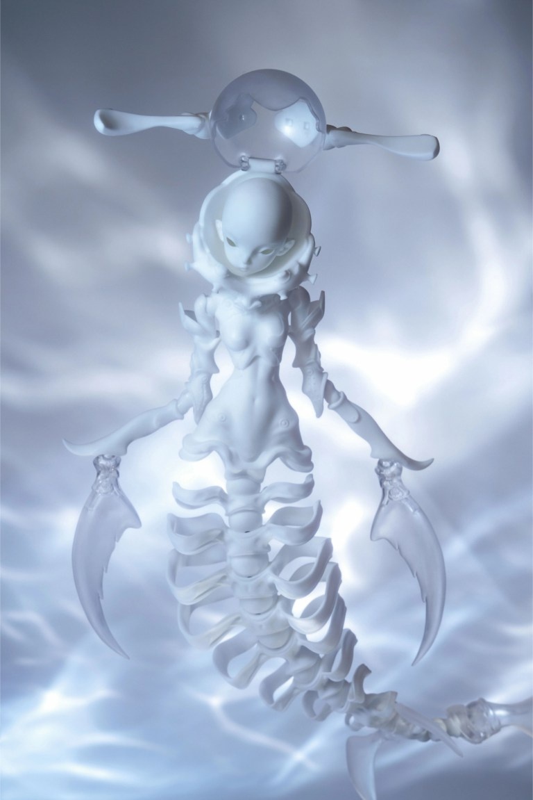 coral reef hammerhead shark