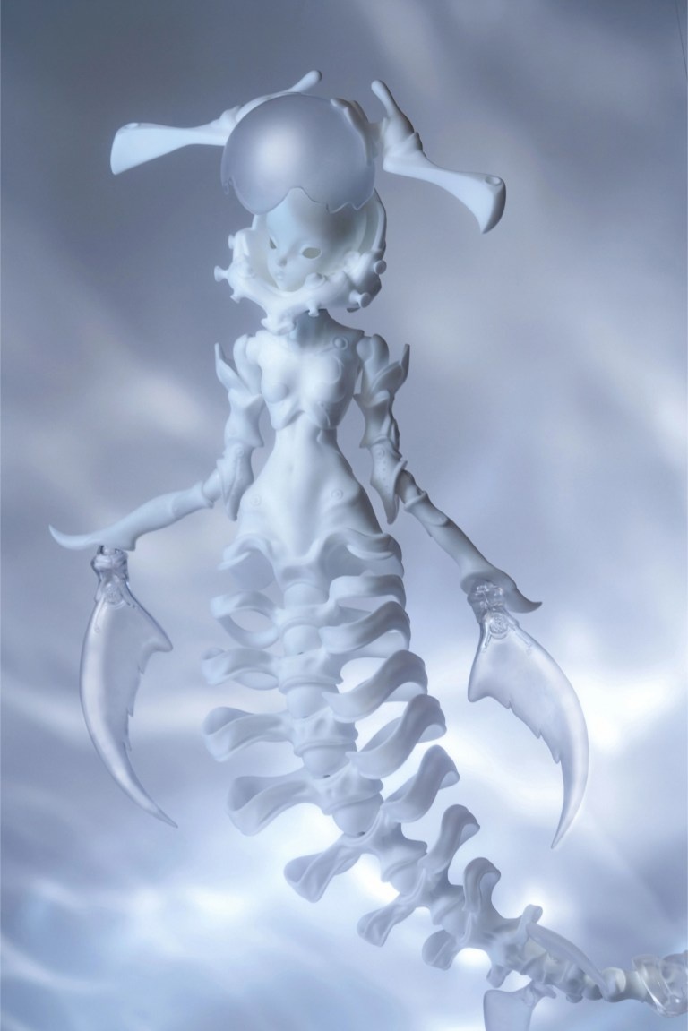 coral reef hammerhead shark