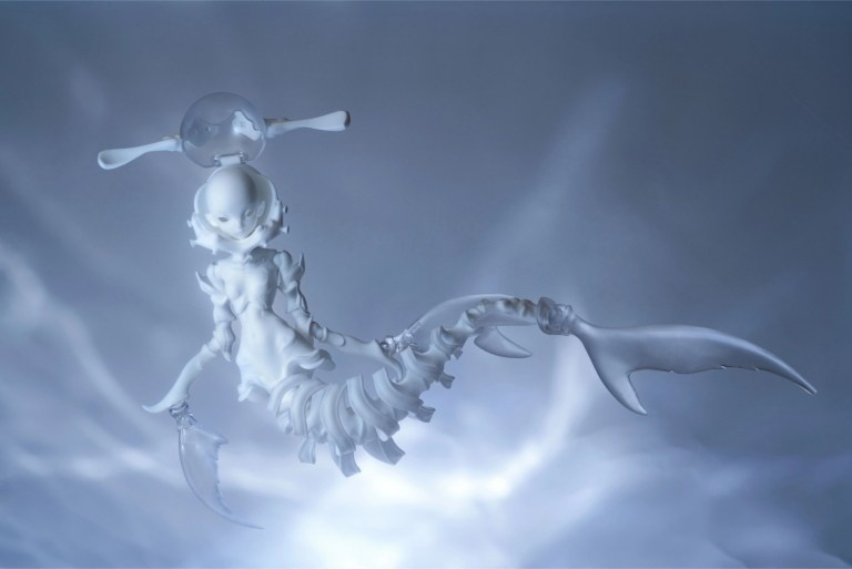 coral reef hammerhead shark