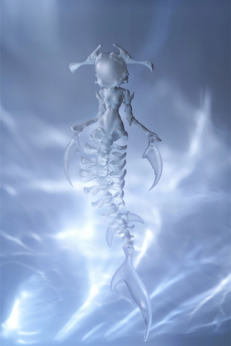 coral reef hammerhead shark