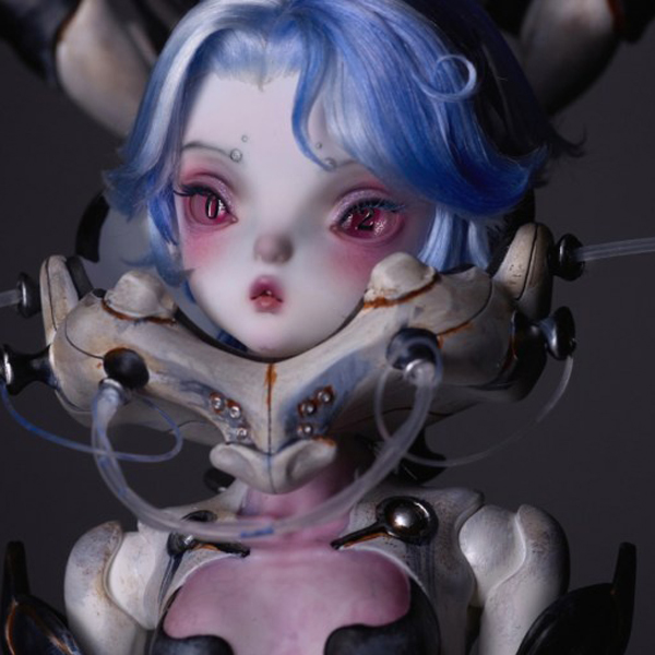 coral reef hammerhead shark