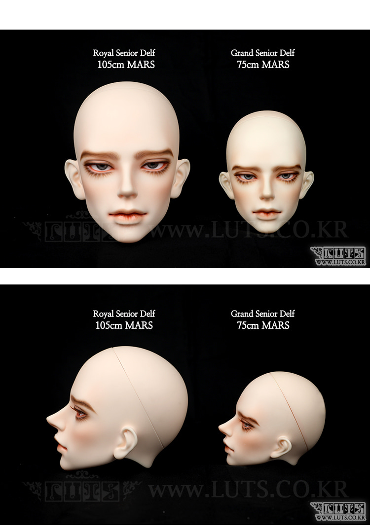 luts royal senior mars