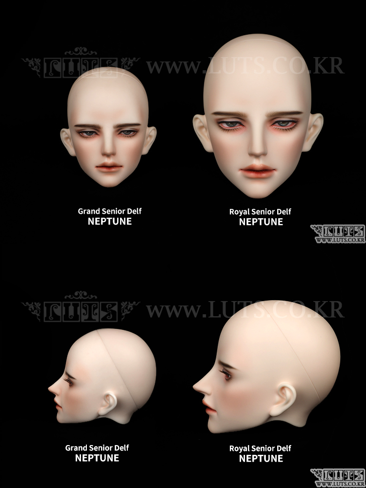 luts royal senior neptune