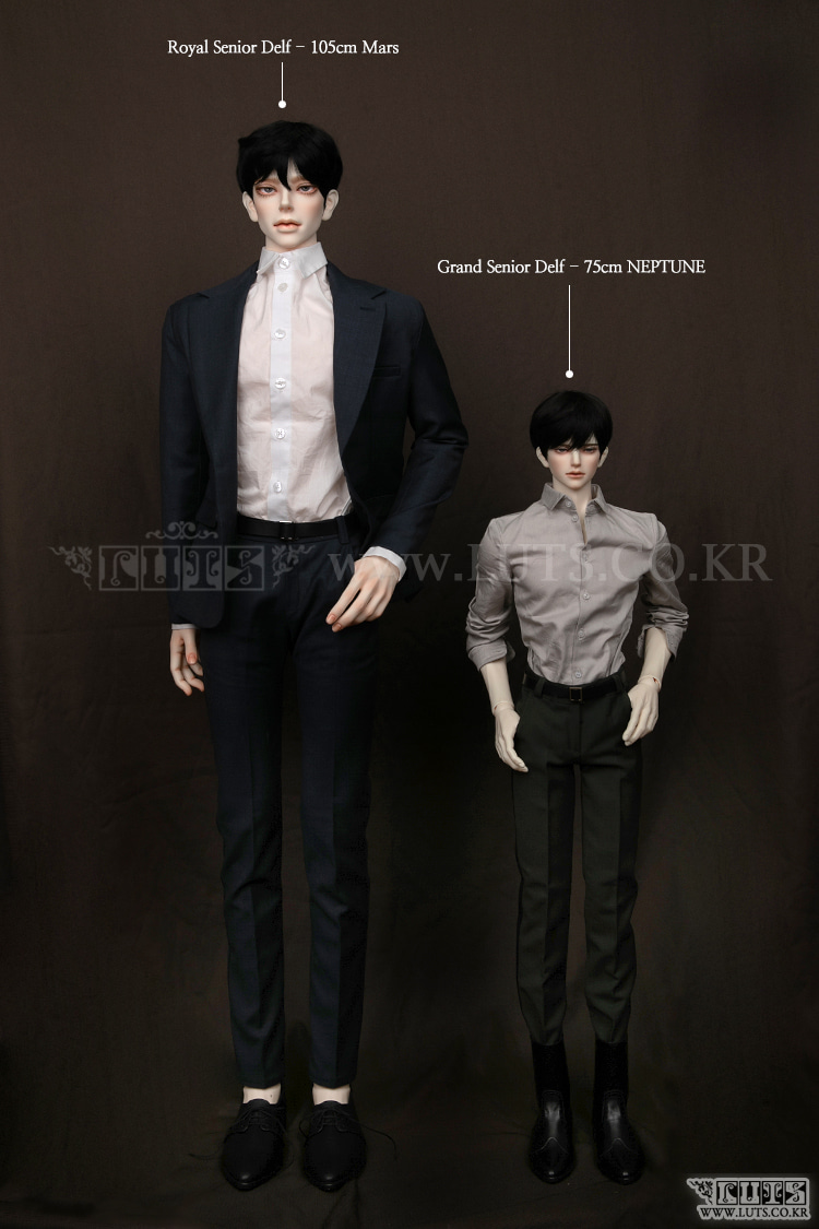 luts royal senior neptune