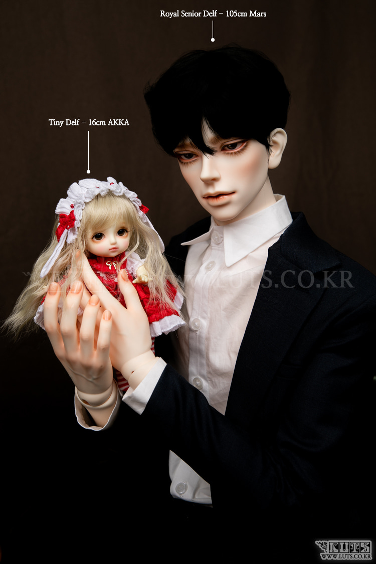 luts royal senior neptune