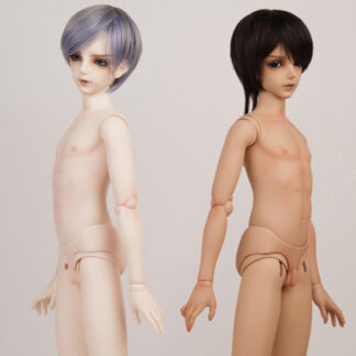 Delf Type 4 BOY BODY