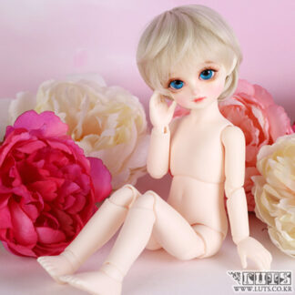 Honey Type 3 MULTI BODY