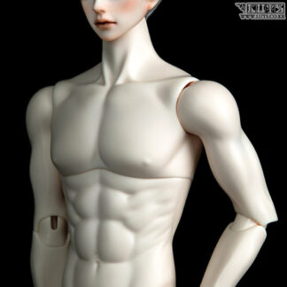 Model51 MALE BODY