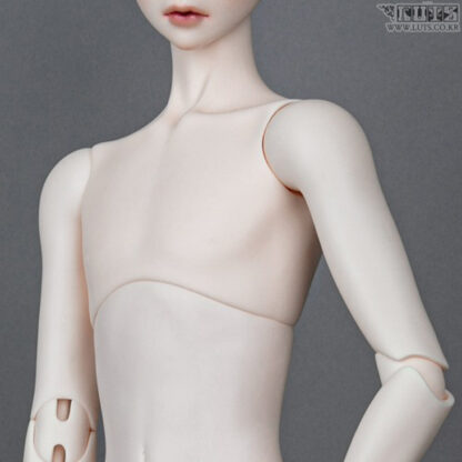Senior Type 2 MUSE BODY (neck compatible ver) – Denver Doll Emporium