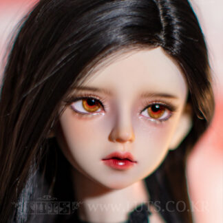 Senior Delf (60cm)