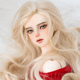 Super Senior Muse ERODE