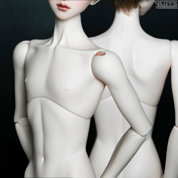 Super Senior TYPE 6 MUSE BODY